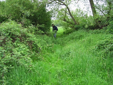 Visiting Frays Farm Meadows Nature Reserve © London Wildlife Trust