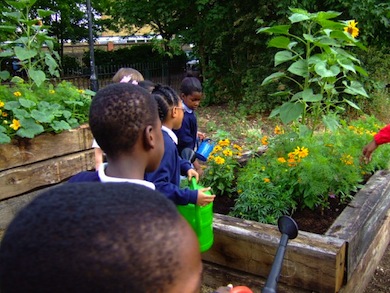 Children at Bird-in-Bush Park © Jon Best