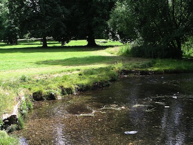 River Wandle at Beddington Park © Jan Hewlett