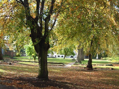 St George-in-the-East Church Gardens © Edwin Van Ek