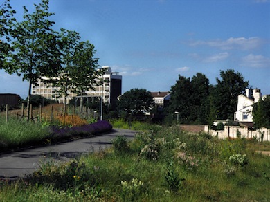 View of Mudchute Park © Edwin Van Ek
