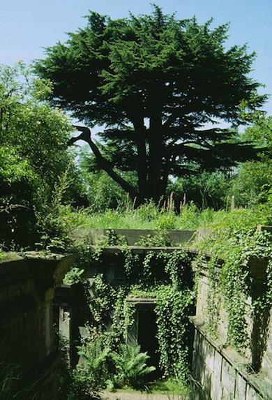 The Catacombs at Highgate Old Cemetery  © Mike Waite