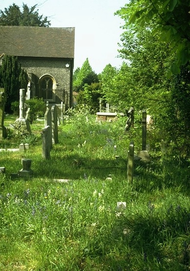St Mary's Churchyard, Merton Park © Ian Yarham