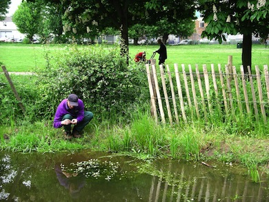 Southfields Recreation Ground Nature Area © Jan Hewlett
