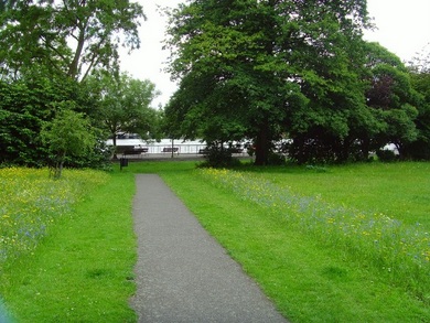 Wild flower meadow at King Edward Memorial Park © John Archer