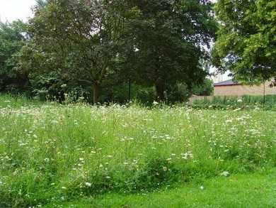 Wapping Wood © John Archer