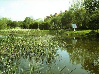 View of Stoneyfields Park © Jim Rea