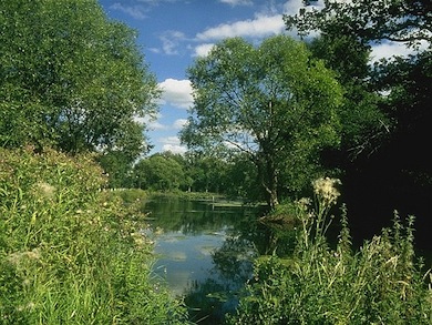 The Long Pond at Totteridge Common © Ian Yarham