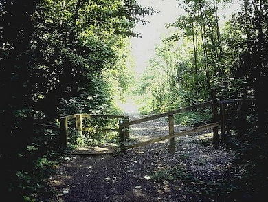View of Copthall Old Railway Walk © Jim Rea