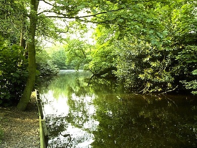 The lake in Brent Park © Jim Rea