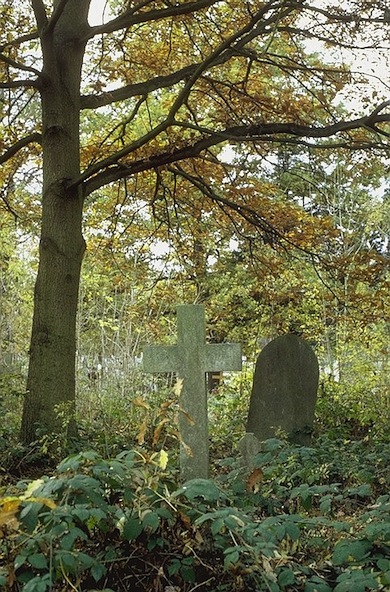 Gravestones in New Southgate Cemetery © Jan Hewlett