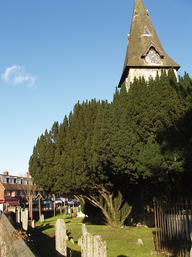 View of Hayes Parish Churchyard © Ewa Prokop