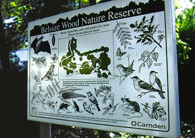 Notice board at Belsize Wood LNR © Mike Waite