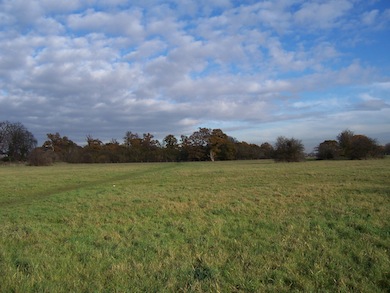 View of Tentelow Lane meadow © L B Ealing