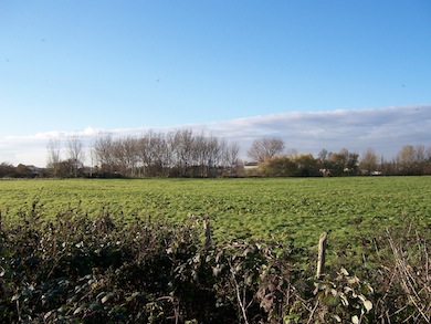 View of Elthorne Roughs © L B Ealing
