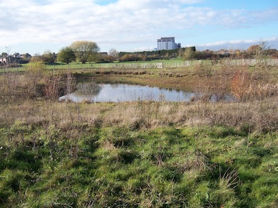 View of Glade Lane Canalside Park © L B Ealing