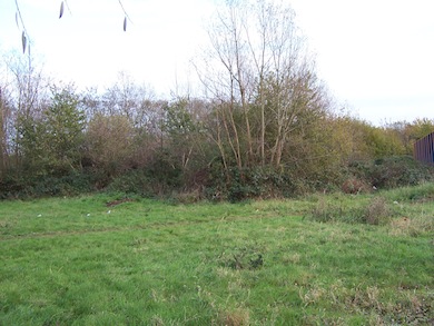 View of Hayes By-pass Roughs © L B Ealing