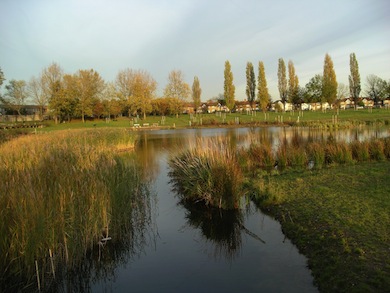 Created wetland at Sutcliffe Park © Jan Hewlett