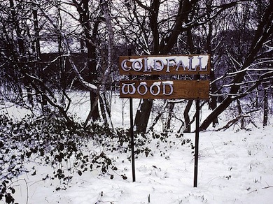 A Narnian scene at a wintery Coldfall Wood © David Bevan