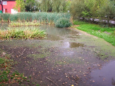 View of Harefield Green Pond © Alan Preece