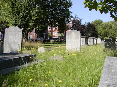 Headstones at the Royal Hospital Veterans Cemetery © London Wildlife Trust