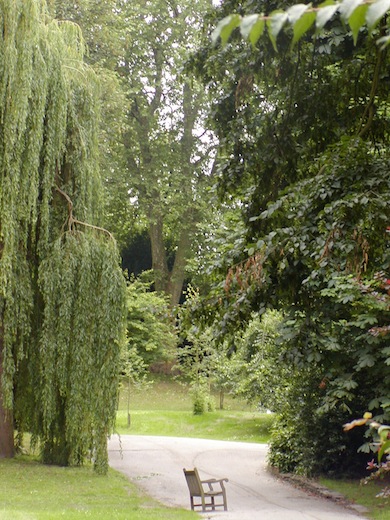 View of Ranelagh Gardens © London Wildlife Trust