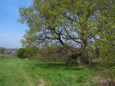 View of Streatham Common © Iain Boulton