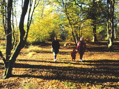 Walking in Mad Bess Wood © Peter Wakely/English Nature