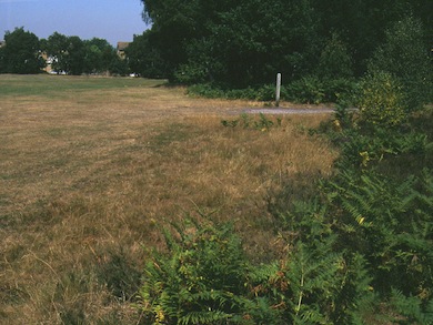 View of Shirley Heath © Mike Waite