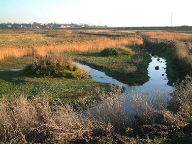 View of Rainham Marshes © RSPB Images