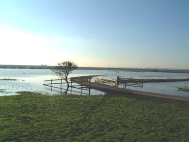 The flooded gate road into Rainham Marshes © RSPB Images