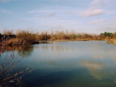 The lake at South Norwood Country Park © Andrew Williams