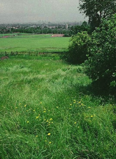 View towards the City from Parliament Hill © Peter Wakely/English Nature