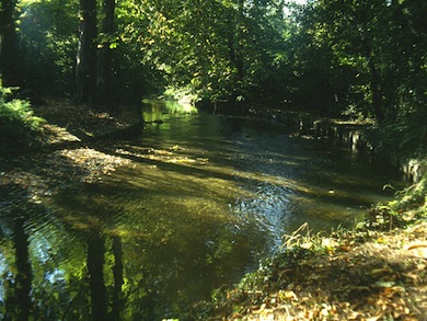 View of the River Crane © Ian Yarham