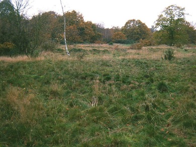Autumn at Barnes Common © Mike Waite