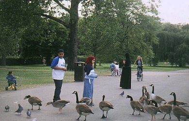 Children feeding the wildfowl in Regent's Park © Jan Hewlett