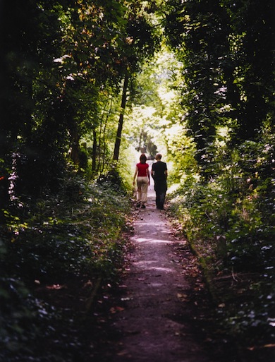 Couple enjoying a tree-lined walk in Abney Park Cemetery © James Farrell