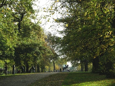 View of Kensington Gardens © Jan Hewlett