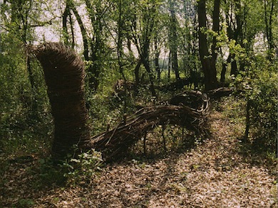 The Serpent, a willow sculpture at Jubilee Wood © Mike Waite