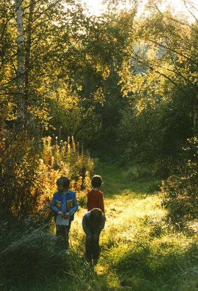 Children at Gunnersbury Triangle Nature Reserve © Jan Hewlett