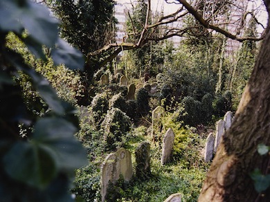 View of Tower Hamlets Cemetery © Terry Lyle