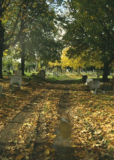 Autumn view of Kensal Green Cemetery © Ian Yarham