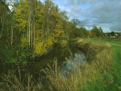 View along the River Roding © Ian Yarham