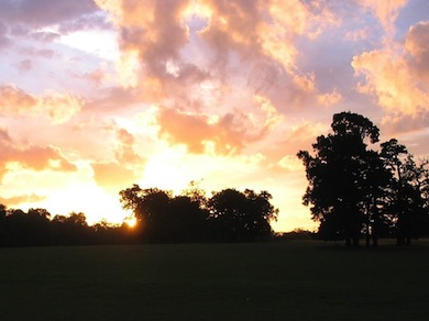 Sunset at Dagnam Park © Alan Cooper