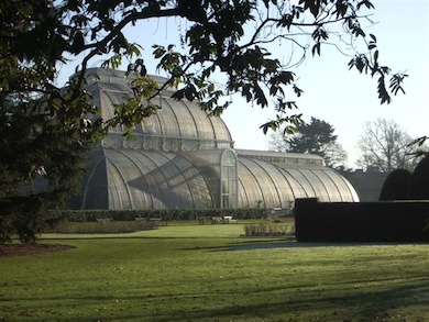 The Palm House at Kew Gardens © Trevor Farrell
