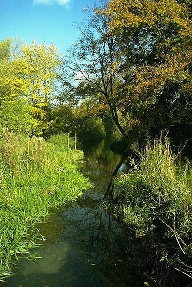 A branch of the River Wandle in Morden Hall Park © Ian Yarham