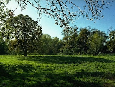 Autumn view at Morden Hall Park © Ian Yarham