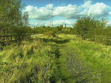 View along the Wandle Trail at Wandle Meadow © Ian Yarham