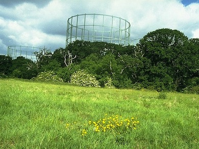 Sir Joseph Wood Memorial Playing Fields Wood © Ian Yarham