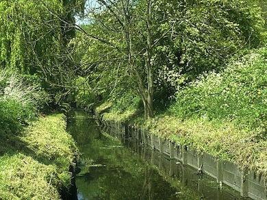 View along the Pyl Brook © Ian Yarham